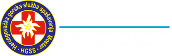 HGSS logo