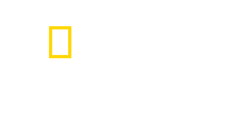 Nat Geo Wild kanal logo