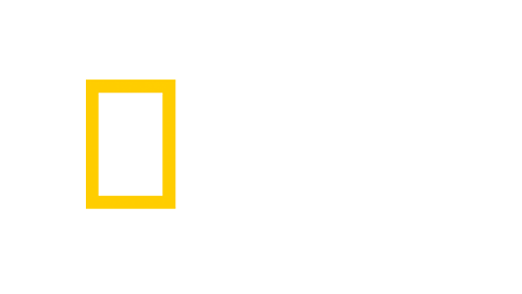 Nat Geo kanal logo